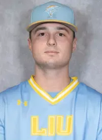 Nick Matson, Baseball, Long Island University