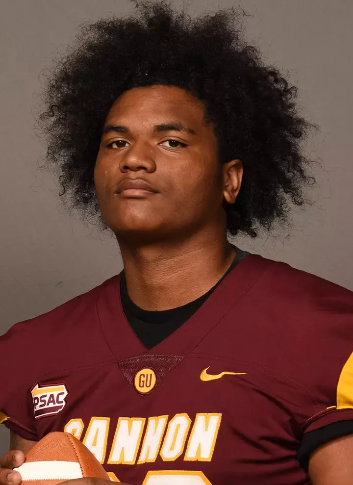 Micah Kelley, Football, Gannon University