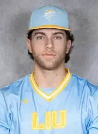 Noah Tabaie, Baseball, Long Island University
