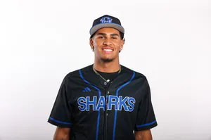 William Polanco, Baseball, Miami Dade College