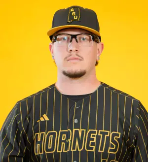 Caio Araujo, Baseball, undefined