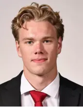 Luke Ashton, Hockey, undefined