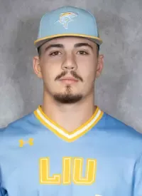 Cord Dobrinski, Baseball, Long Island University
