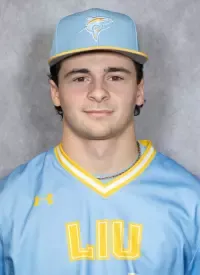 Will Bartoli, Baseball, Long Island University