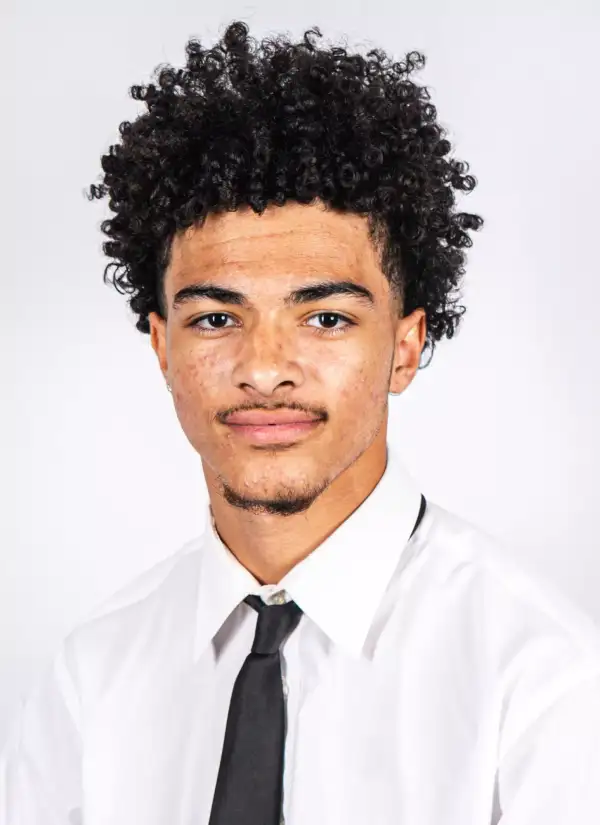 Dylan Holston, Football, Lenoir-Rhyne University