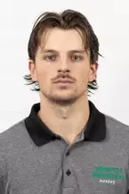 Tyler Young, Hockey, undefined
