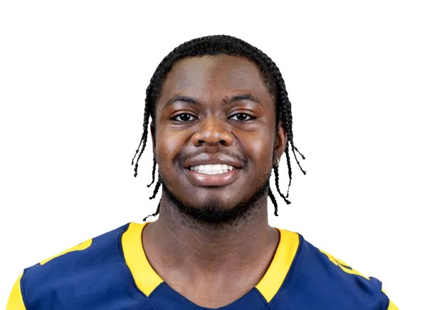 Ali Fisher, Football, undefined