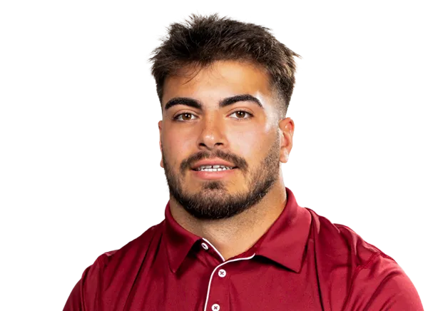 Cookie Desiderio, Football, undefined