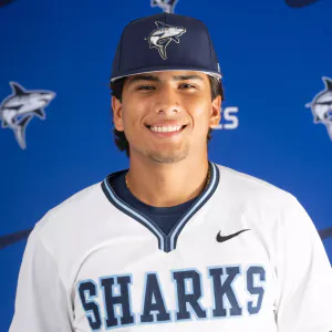Sebastian Garavito, Baseball, undefined