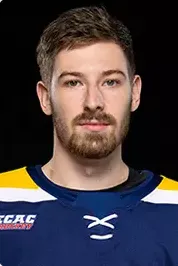 Markus Vidicek, Hockey, undefined