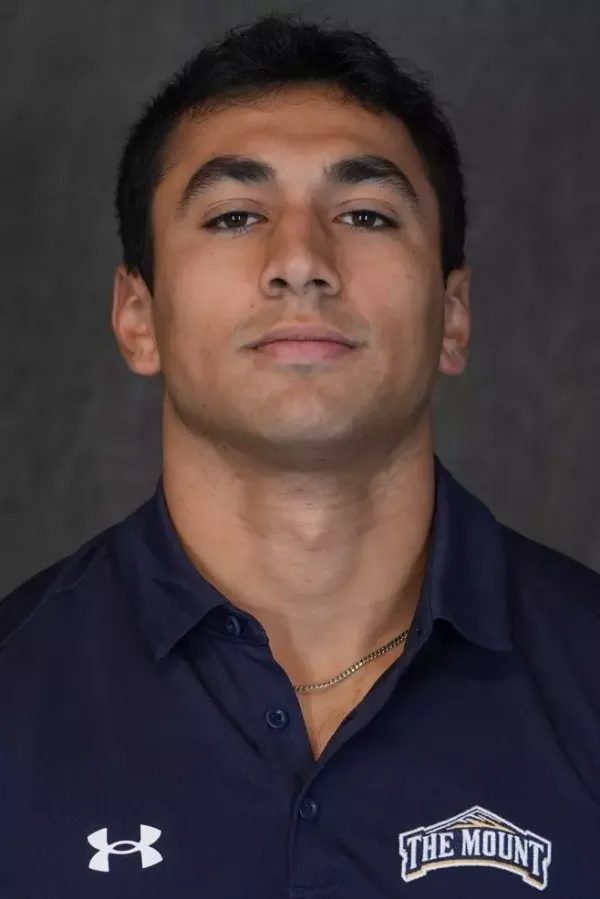 Alex Mendes, Baseball, Mount St. Mary's University