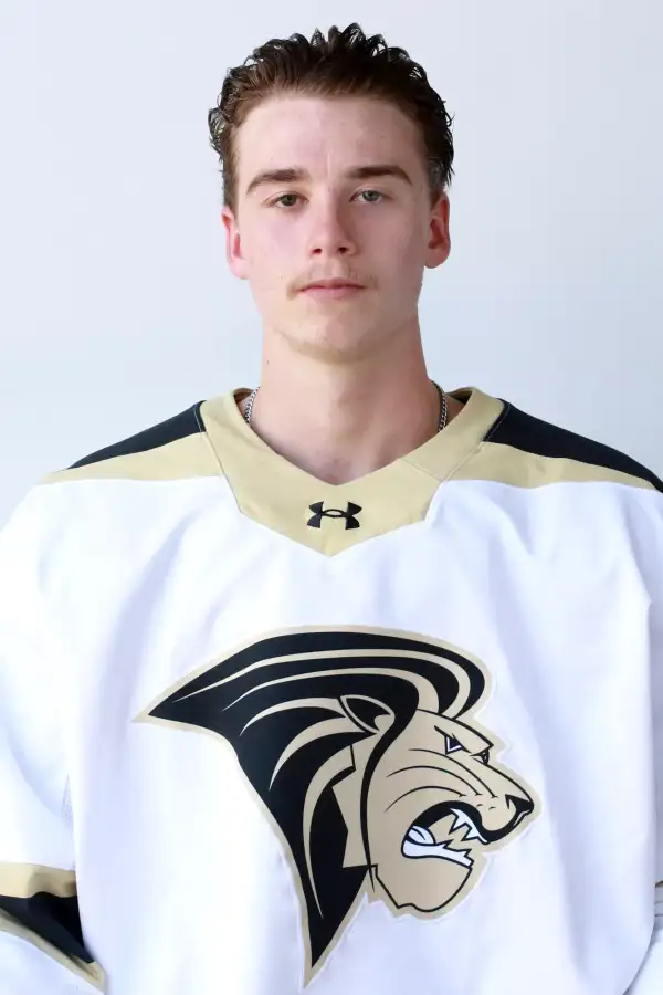 Chris Thibodeau, Hockey, Lindenwood University