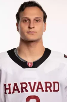 David Hejduk, Hockey, undefined