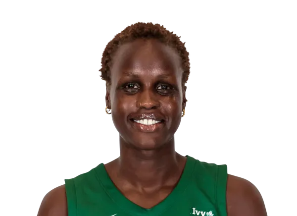 Doreen Ariik, Basketball, Dartmouth College