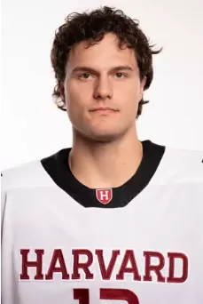 Marek Hejduk, Hockey, undefined