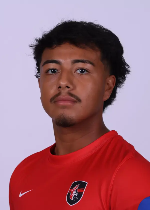 Marco Alberts, Soccer, Carthage College