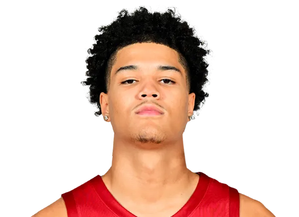Dominik Robinson, Basketball, undefined