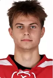 Kamil Bednarik, Hockey, undefined
