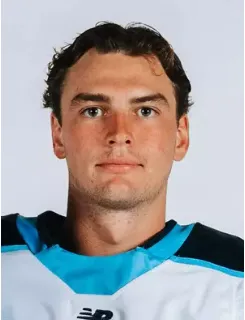 Sully Scholle, Hockey, undefined