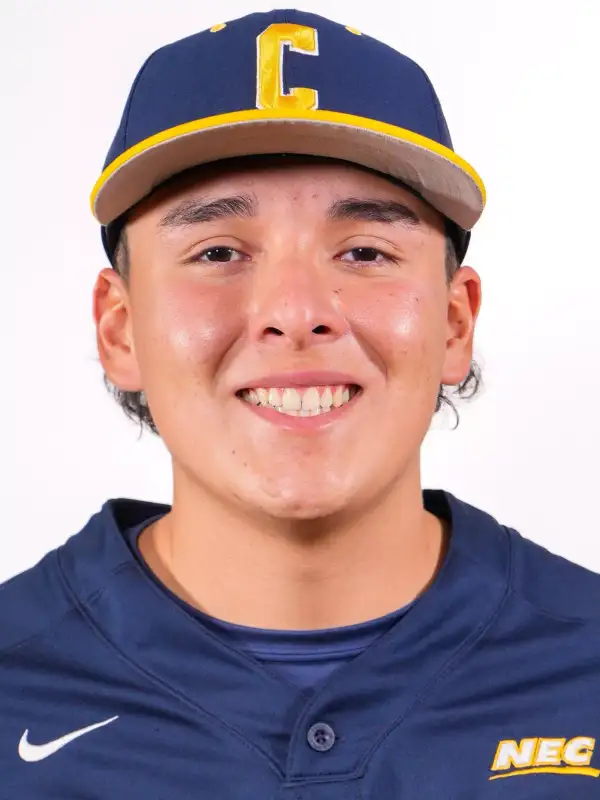 Armando Hurtado, Baseball, Coppin State University