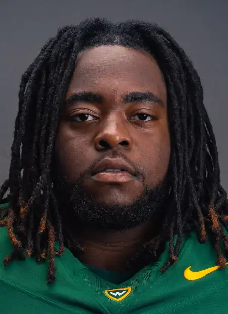 Derek Johnson, Football, Wayne State University