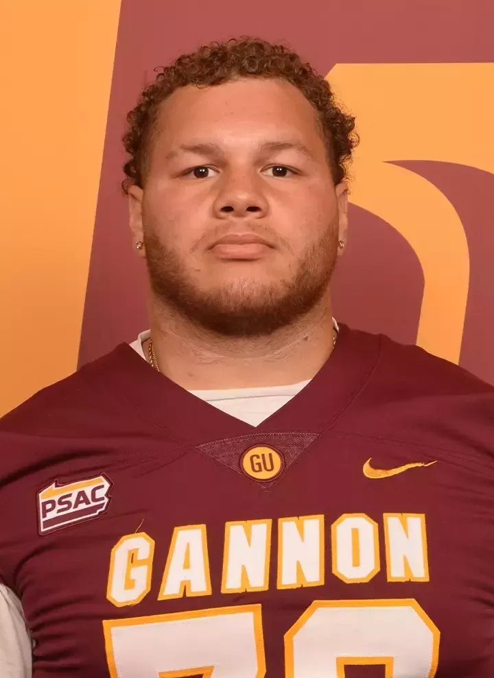 Xavier Copeland, Football, Gannon University