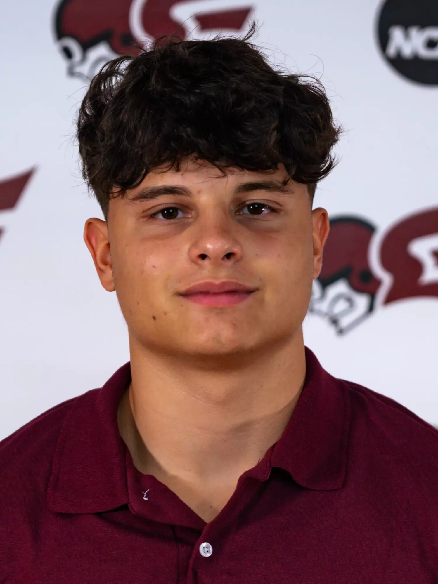 Nico Palmieri, Football, undefined