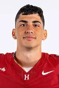 Dante Torres, Football, undefined