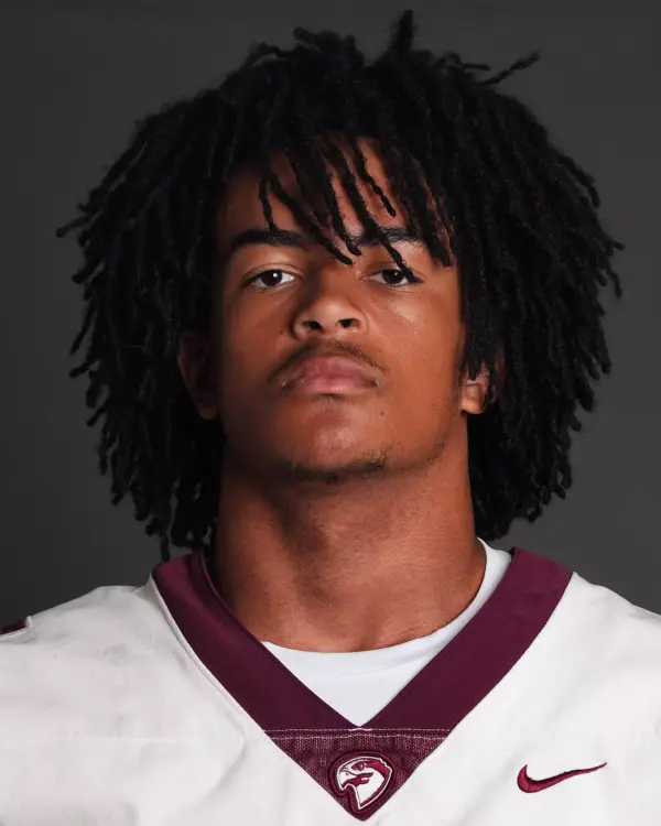 AJ Hertel, Football, Fairmont State University