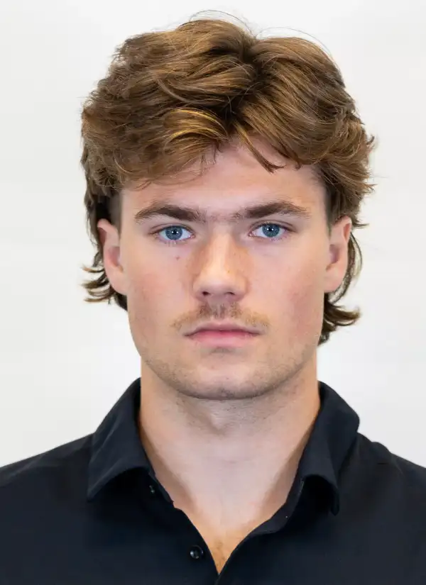 Blake Pilgrim-Edwards, Hockey, Maryville University