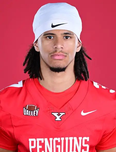 Maximillian Johnson, Football, Youngstown State University