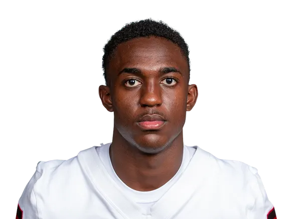 James Finley, Football, University of Illinois