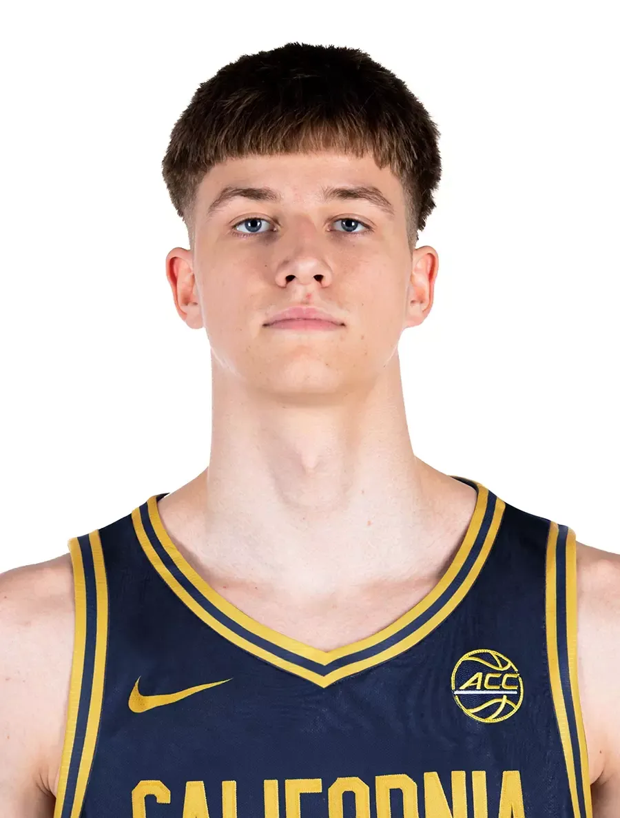 Dominykas Daubaris, Basketball, undefined