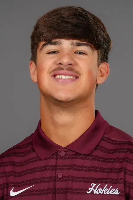 Palmer Hornick, Baseball, Virginia Tech