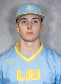 Nicholas Finarelli, Baseball, Long Island University