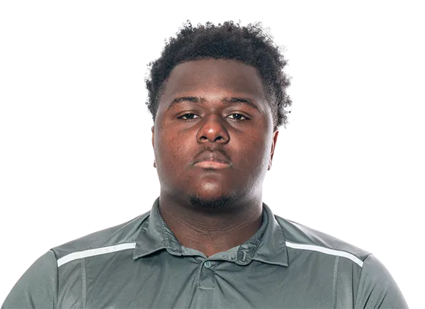 Daniel Michel, Football, James Madison University