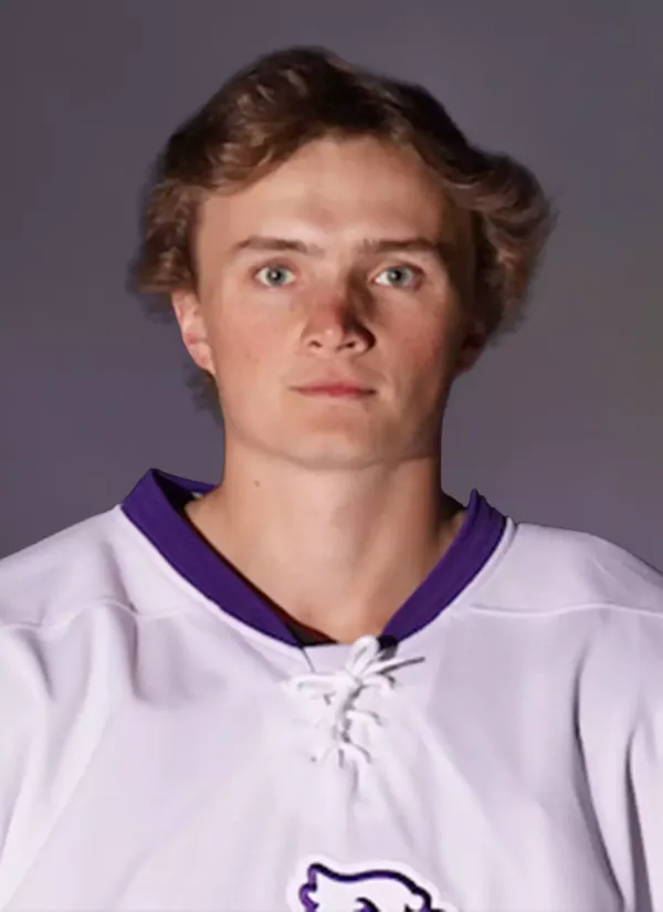 Nathan Oickle, Hockey, Niagara University