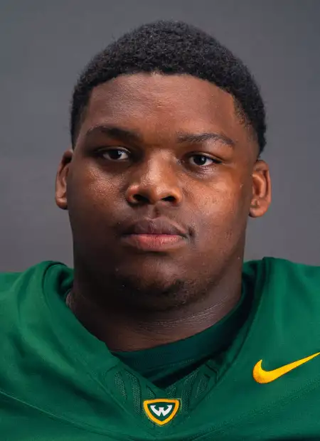 Zy'kerion Tucker, Football, Wayne State University