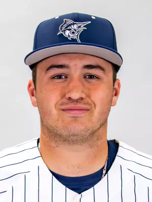 Louis Paolillo, Baseball, undefined