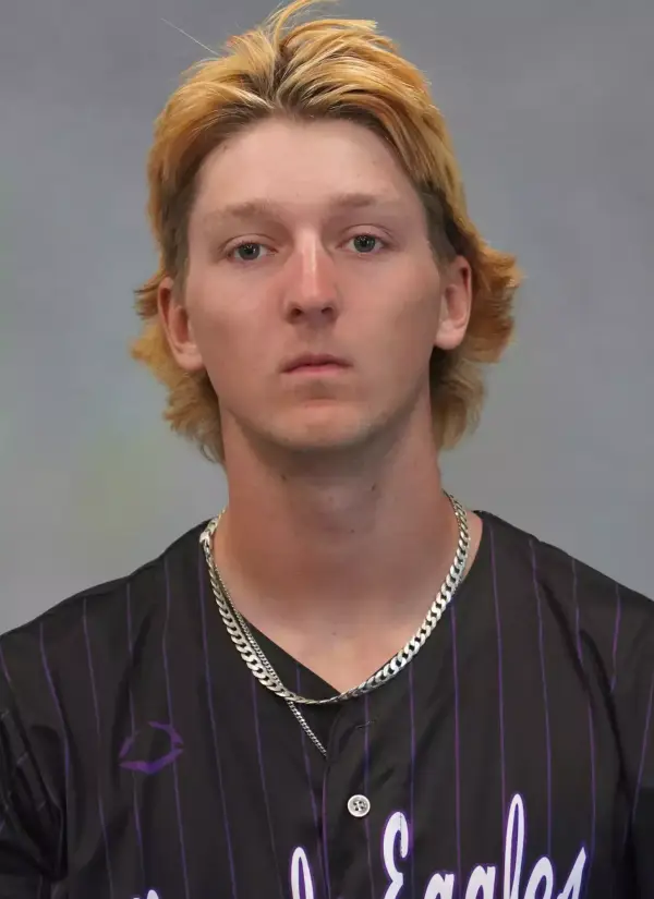 Carter Aarts, Baseball, Niagara University