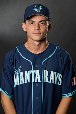 Darian Collins, Baseball, undefined