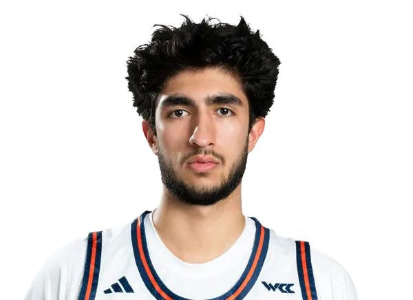 Pasha Shemirani, Basketball, Pepperdine University