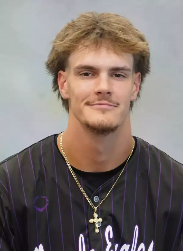 Gage Wheaton, Baseball, Niagara University