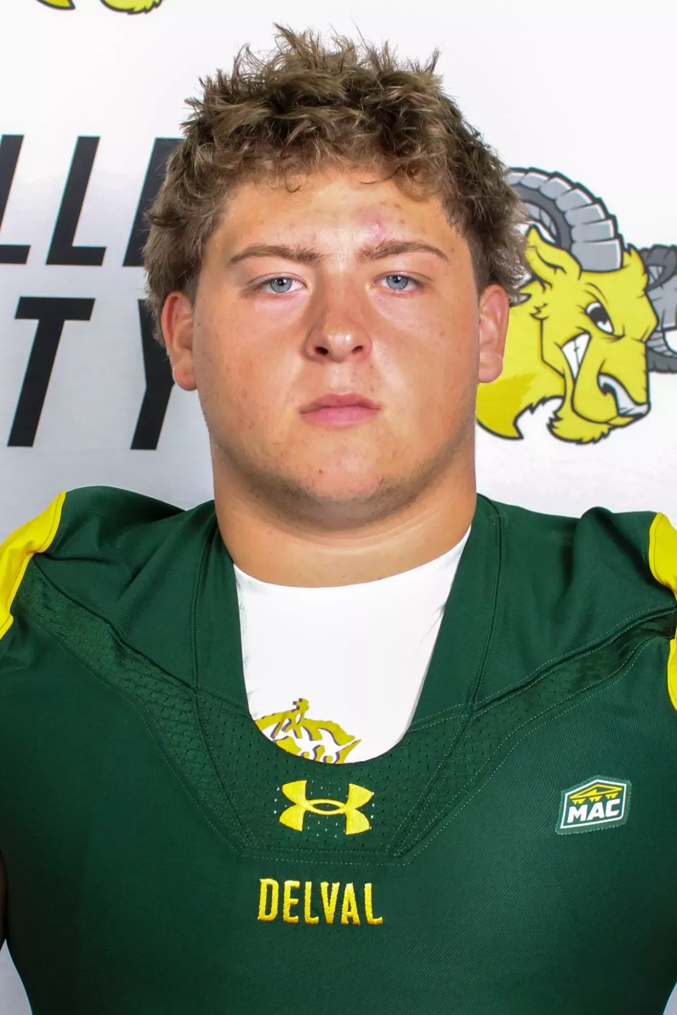 Taylor Veilleux, Football, Delaware Valley University