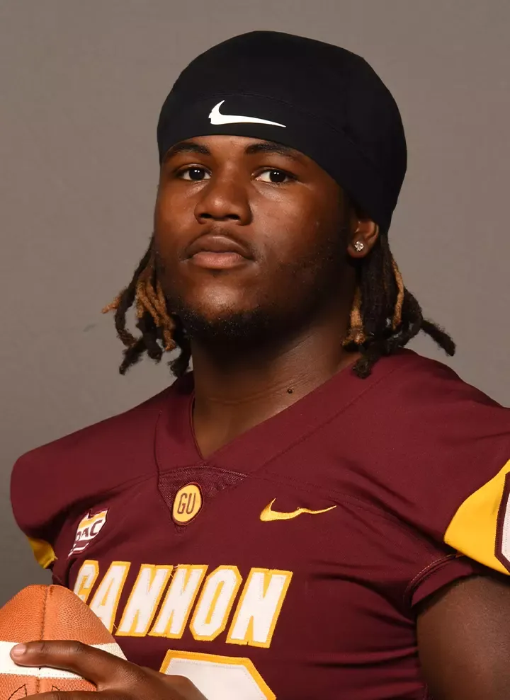 Ayden Taylor, Football, Gannon University