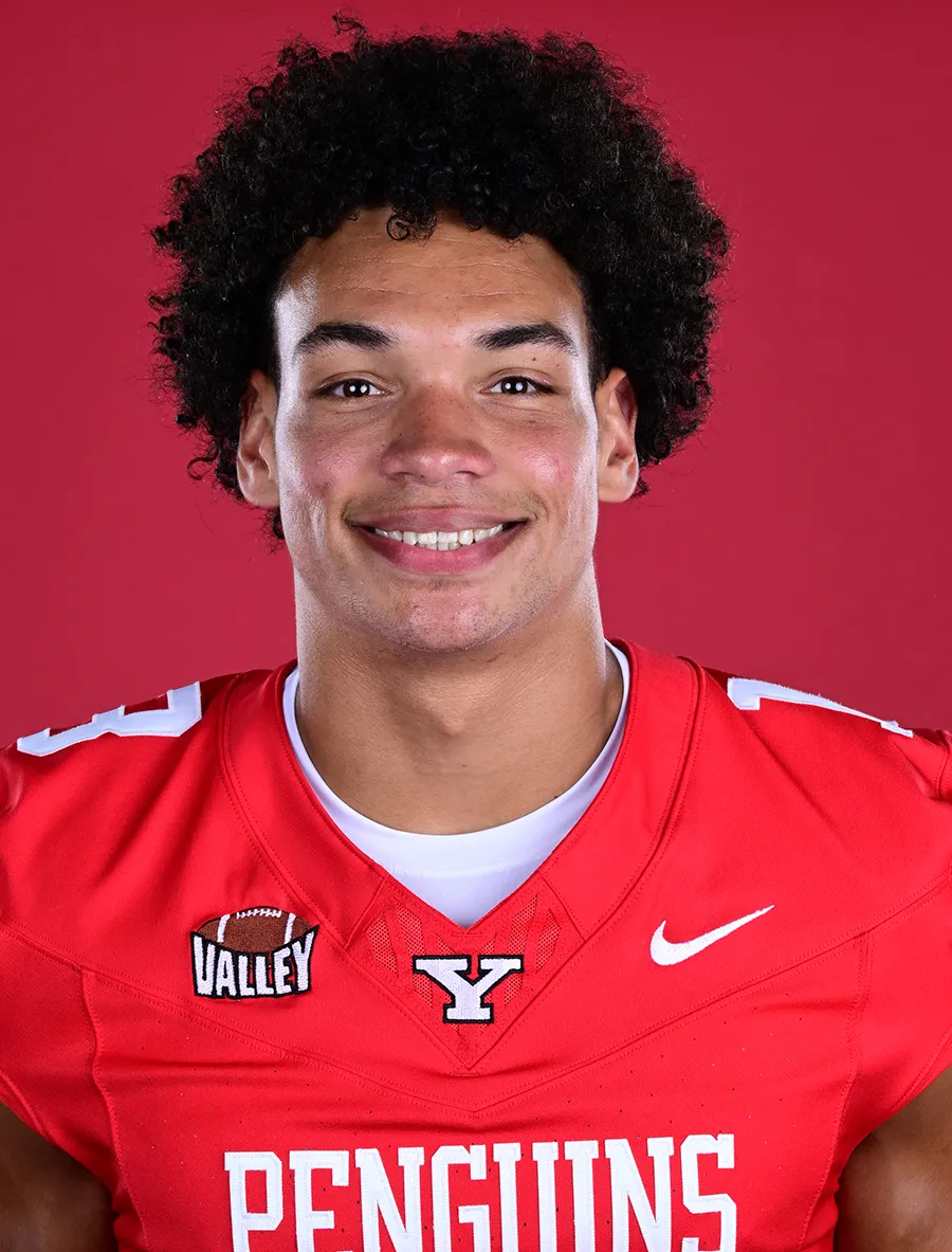 Aidan Stephens, Football, Youngstown State University
