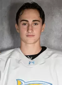 Lucas Lemieux, Hockey, Long Island University