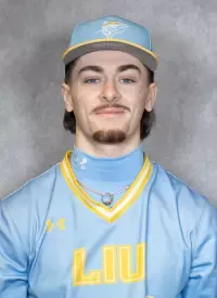 Gavin Sansone, Baseball, Long Island University