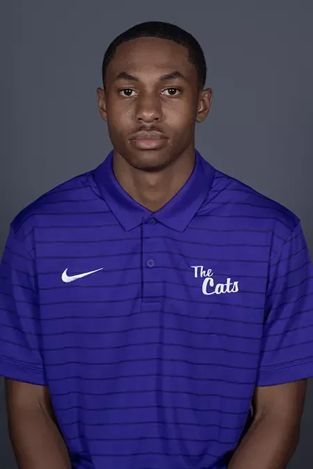 Emanuel Palmer, Football, undefined