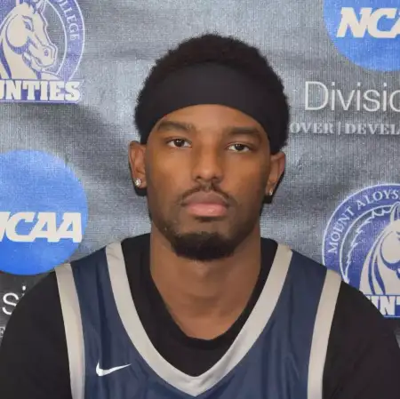 Donovan Bass-Briscoe, Basketball, Mount Aloysius College